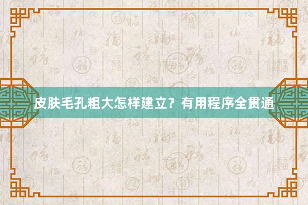 皮肤毛孔粗大怎样建立？有用程序全贯通