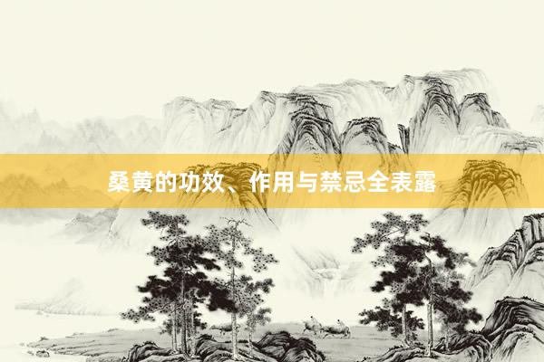桑黄的功效、作用与禁忌全表露